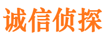 大城侦探公司